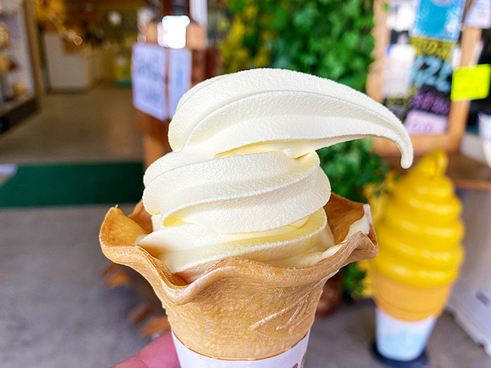 菜の花ソフトクリームだ！横浜町「トラベルプラザ サン・シャイン」