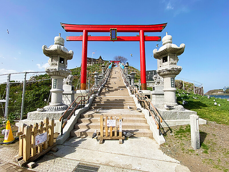 2026年度の初詣をしに3万羽のウミネコが飛び交う青森県八戸市「蕪島
