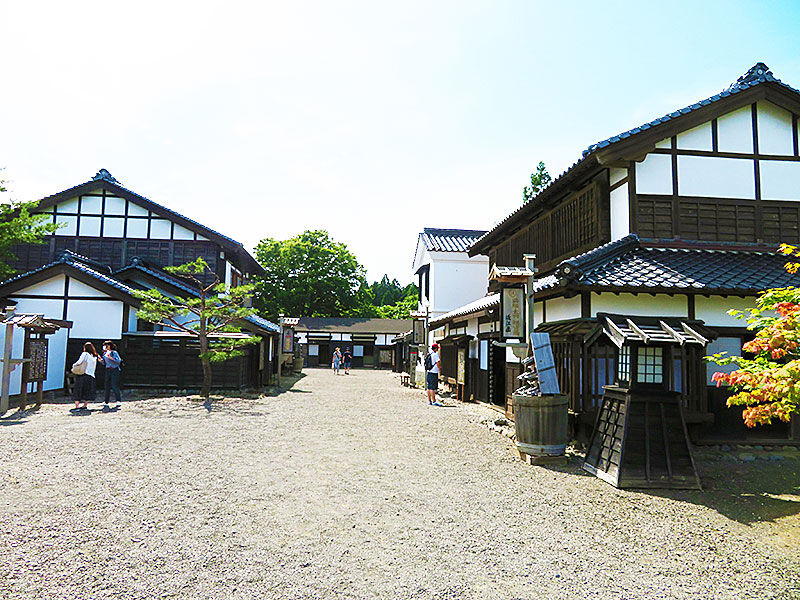 松前町 水に浮くあじさいが涼しげな 浮き紫陽花 は明日まで あなたは おもしろマガジン