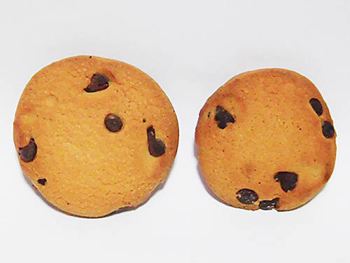 チョコチップと鼻血デール あなたは おもしろマガジン チョコチップと鼻血デール あなたは おもしろマガジン