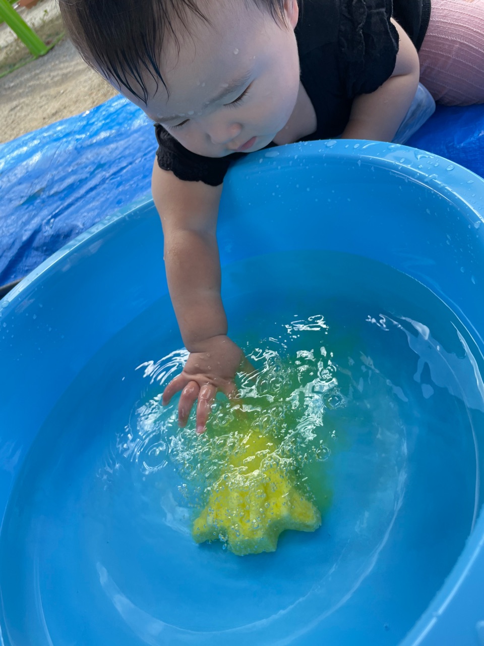 R4 8 8 もやいのおうち保育園ブログ R4 8 8 もやいのおうち保育園ブログ