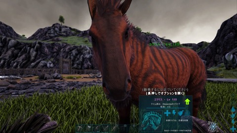 ARK_ Survival Evolved_20190702232441