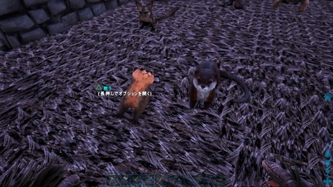 手負いのクマの咆哮 Ps4 Ark 手負いのクマの咆哮 Ps4 Ark