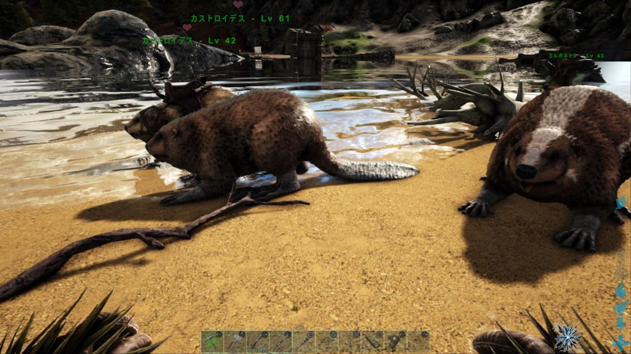Ps4 Arkラグナロク リスタートvol 11 クマの咆哮 Ps4 Arkラグナロク リスタートvol 11 クマの咆哮