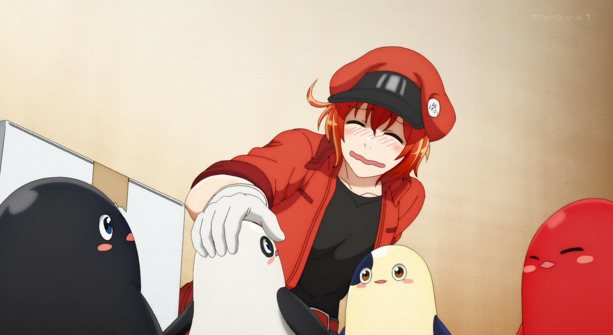 はたらく細胞 2期 4話感想 画像 今回はピロリ菌のことがよくわかった アニメのにゅーす