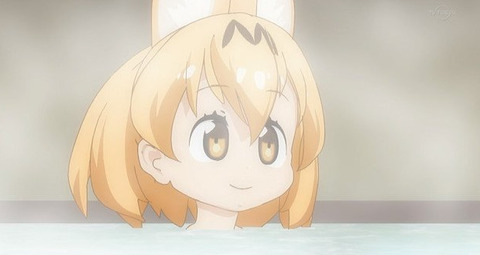 けものフレンズ 9話感想 画像 かばんちゃんに言われるまで服を脱ぐという概念すらなかったフレンズたち もゆげん 萌癒元