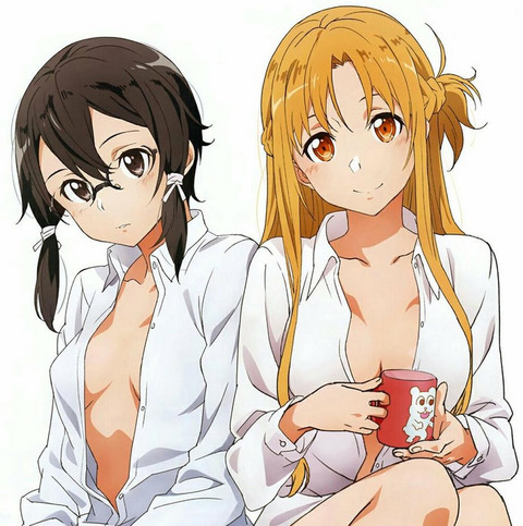 画像 Sao アスナとシノンのお胸格差ｗｗｗｗｗｗｗｗｗｗｗ もゆげん 萌癒元