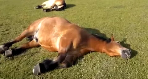 bandicam 2021-06-29 21-57-14-961