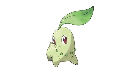 【画像】ポケモンのチコリータってよく見るとそんなに可愛くない気がするんだ