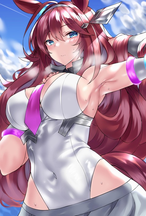 画像 ウマ娘のミホノブルボンちゃんの体つきって最高だよな もゆげん 萌癒元