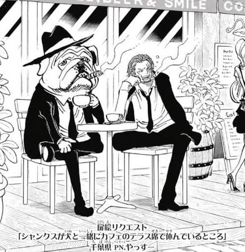 画像 ワンピースの扉絵ってめっちゃいいよね もゆげん 萌癒元