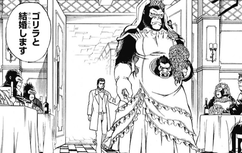 銀魂 の女キャラって可愛いの多くていいよね アニメのにゅーす