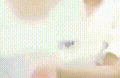 bandicam-2020-07-29-01-27-23-256