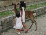 しか