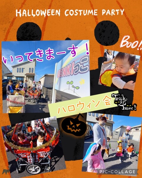 Collage_2024-10-31_13_24_34