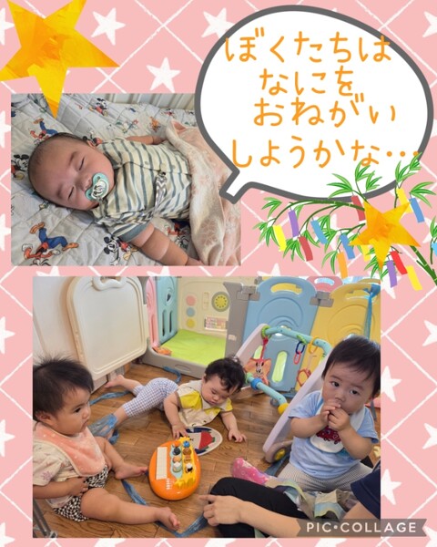 Collage_2025-07-04_10_12_29