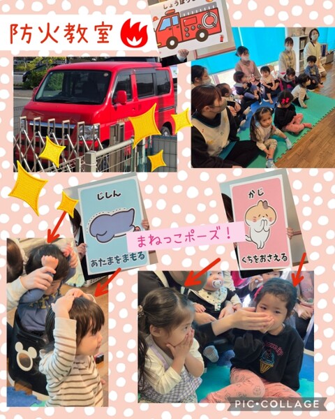 Collage_2025-11-07_12_00_49