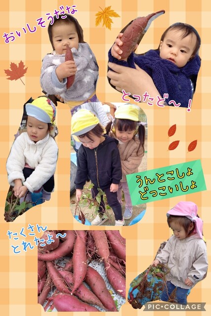 Collage_2022-11-04_15_03_57