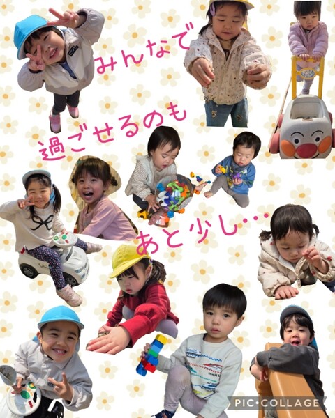 Collage_2025-03-21_11_27_19