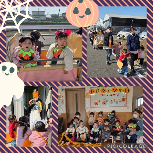 Collage_2025-10-30_13_28_01