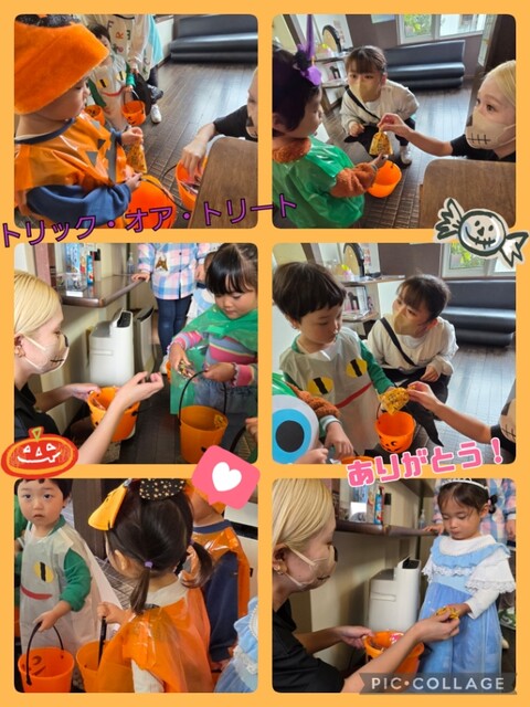 Collage_2025-10-31_13_48_39