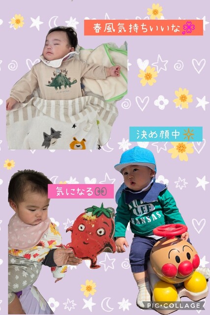 Collage_2025-05-08_11_48_25