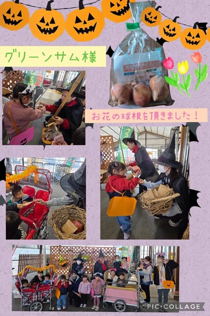 Collage_2025-10-30_13_51_38