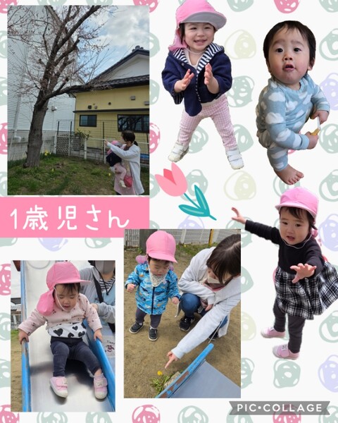 Collage_2025-04-08_14_09_57