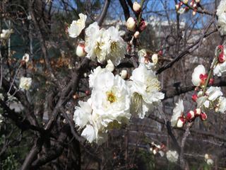 IMG_2021_R