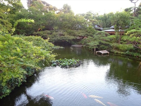 DSC00445_R
