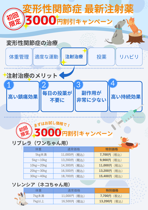 変形性関節症キャンペーン（最終版）