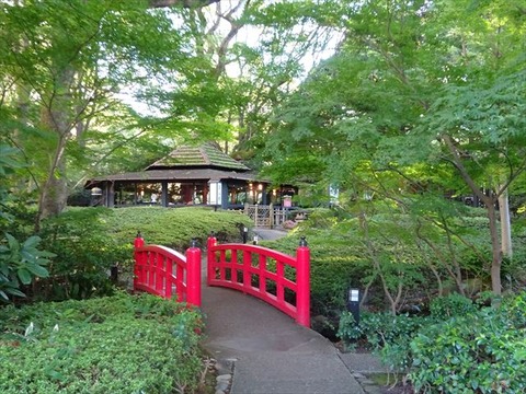 DSC00436_R