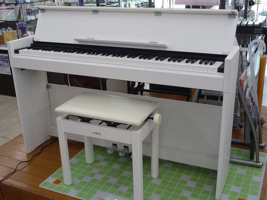 YDP-S51