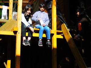DSCN4381