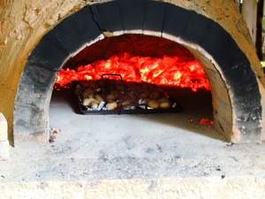 DSCN7415