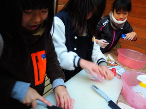 DSCN4330