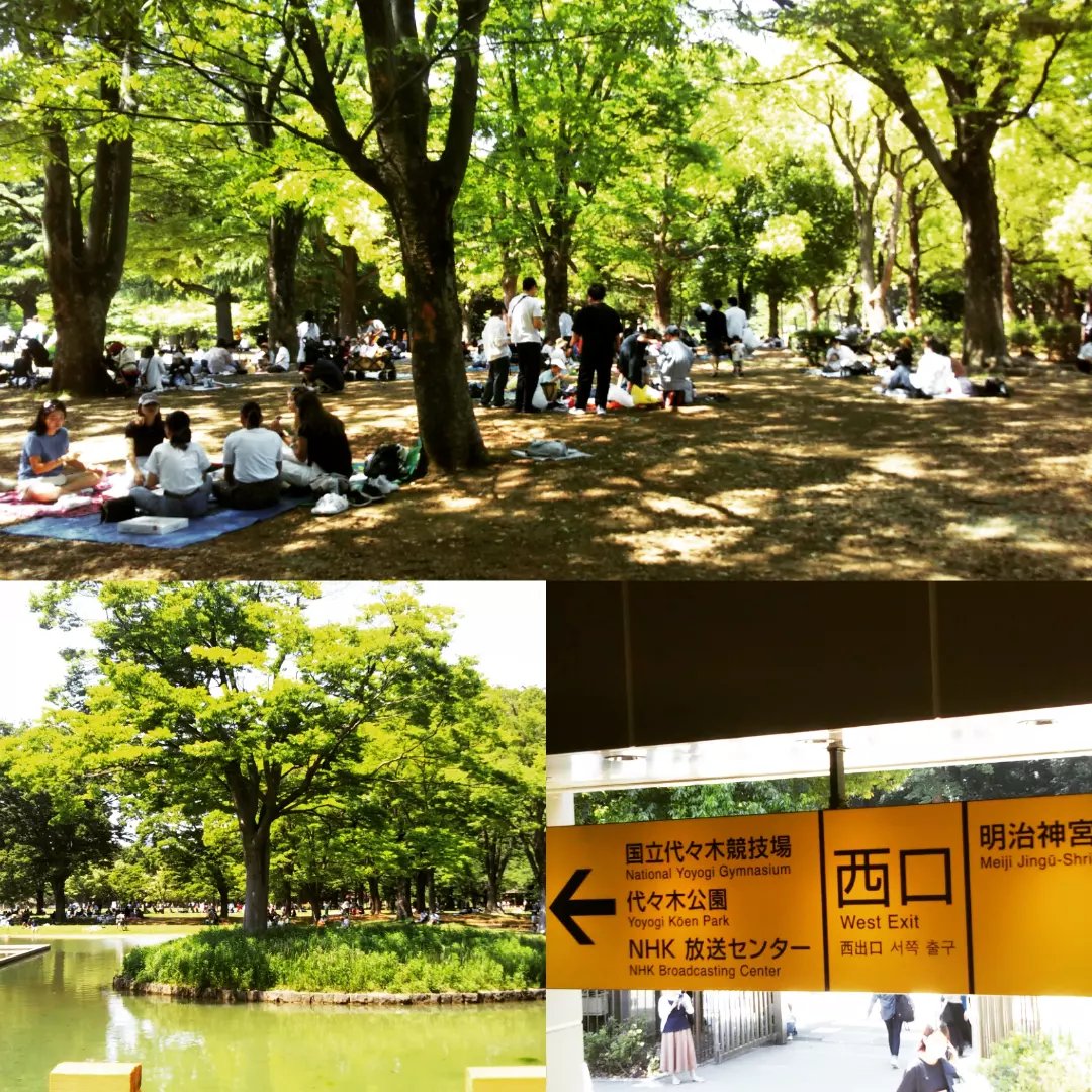 �ԥ��˥å�����