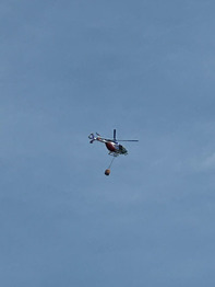 IMG_2186