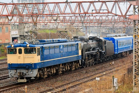 54492be3-s.jpg