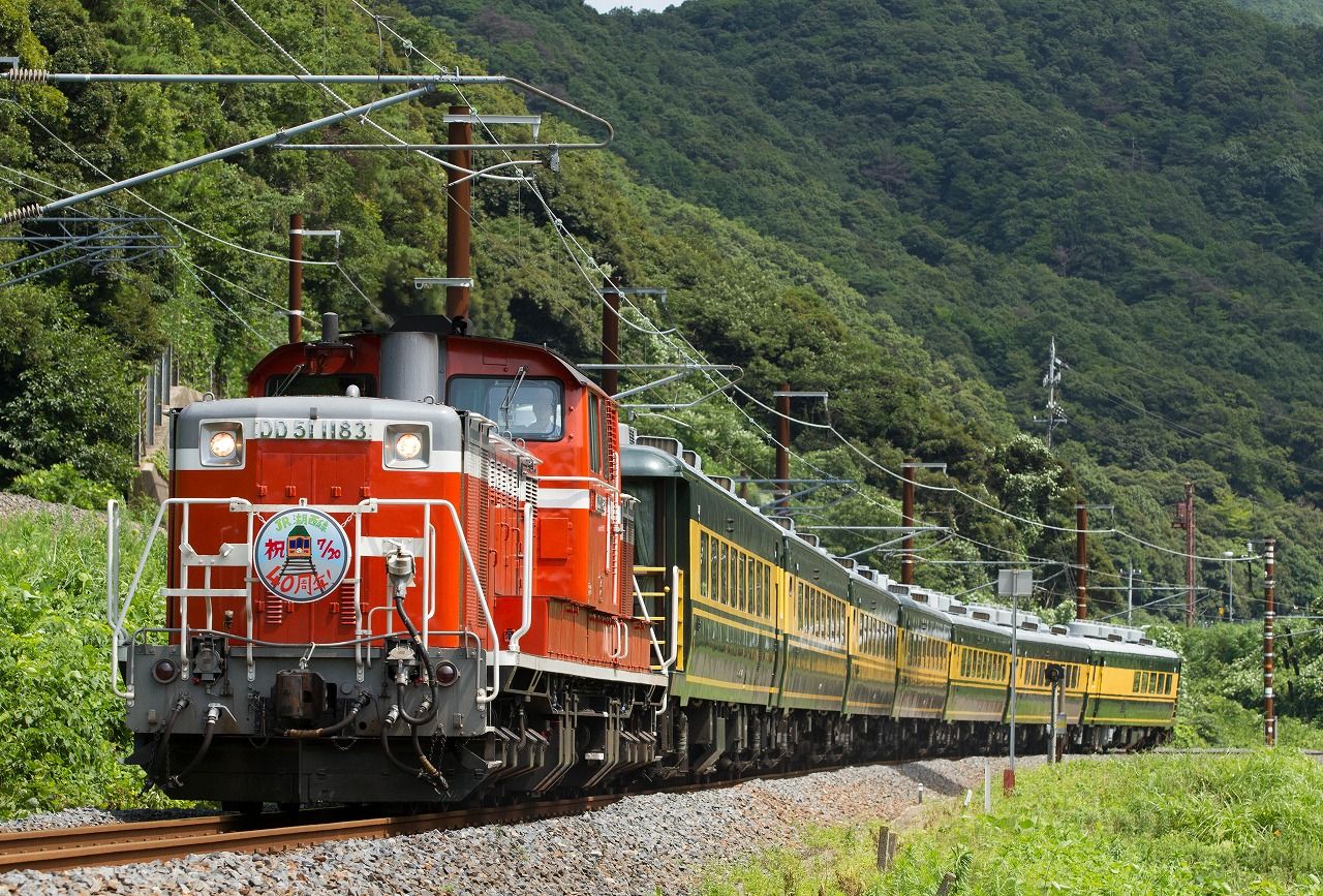 サロンカー江の川 DD51＋サロンカーなにわ 湖西線40周年記念号を新疋田～敦賀にて撮影
