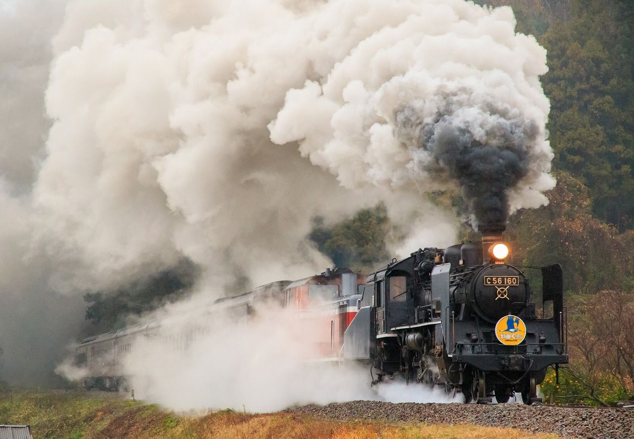 むこうぶち Amazon.com: 16146756323 Fuel Pump Assembly Replacement for