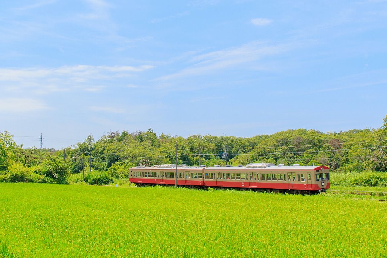近江鉄道 復刻 赤電 を撮影 R Stationぶろぐ 近江鉄道 復刻 赤電 を撮影 R Stationぶろぐ