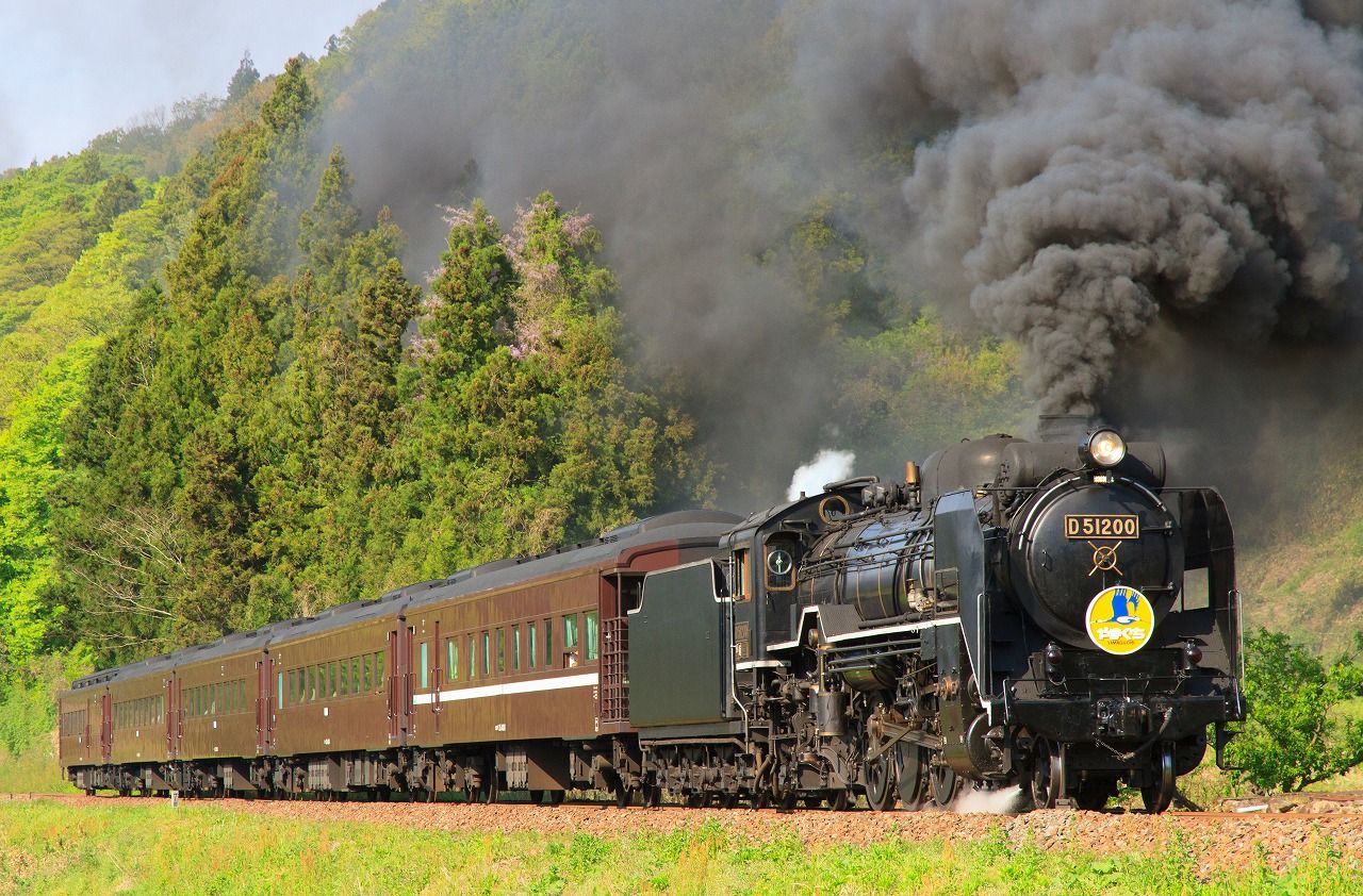 D51-200牽引 SLやまぐち号を津和野～船平山にて撮影 : R-STATION