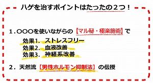極楽育毛革命と頭皮の血行 逆立ちマッサージとは 極楽育毛革命 Mr 3日坊主 2ちゃんねる口コミ 極楽育毛革命と頭皮の血行 逆立ちマッサージとは 極楽育毛革命 Mr 3日坊主 2ちゃんねる口コミ