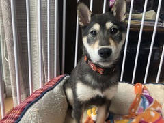 r04.2.17④2月10日