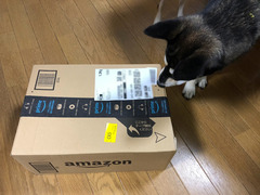 r04.10.26⑦何かが