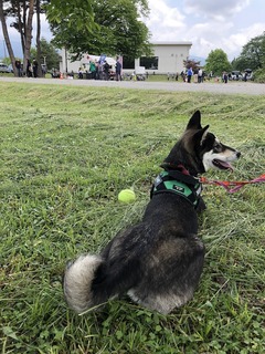 r04.5.29⑥花ちゃんとドライブ