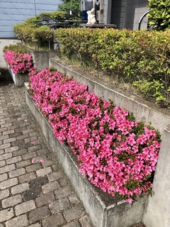 r04.6.24③市内ランニング