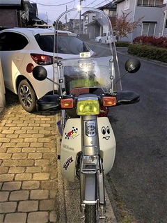 r03.11.9②カブ太冬支度