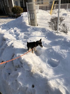 r04.2.17②2月10日